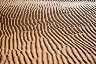 sand-ripples-delphimages-photo-creations_resize_87.jpg