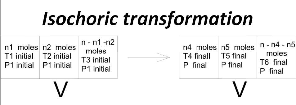 isochore2.jpg